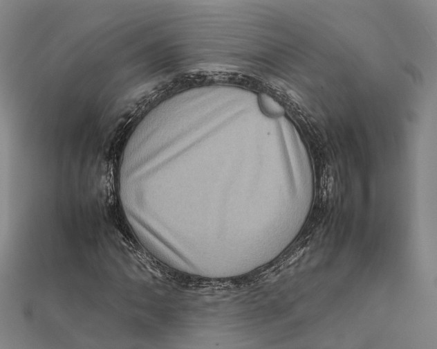 X0000112091062200909011100