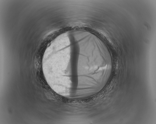 X0000112091063200909011100