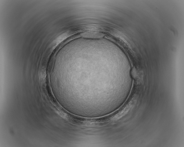 X0000112091065200909011100