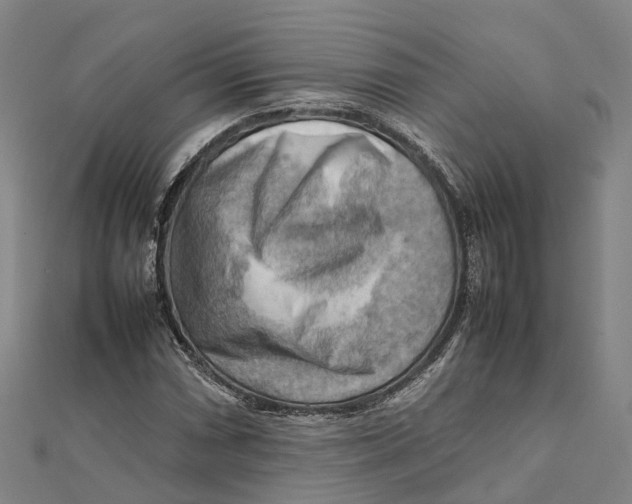 X0000112091066200909011100