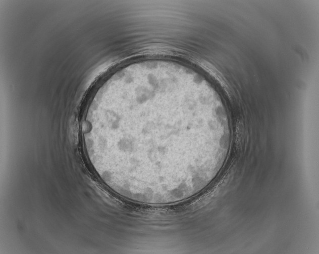 X0000112091067200909011100