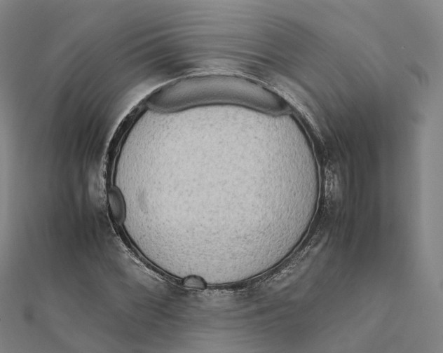 X0000112091068200909011059
