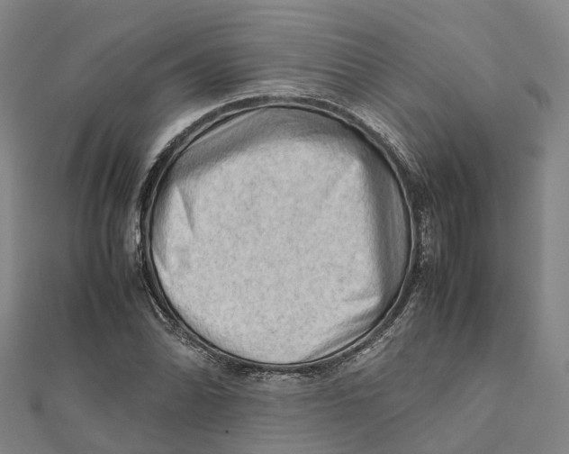 X0000112091070200909011059
