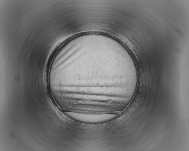 X0000112091072200909011059