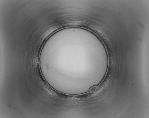X0000112091073200909011059