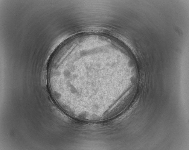 X0000112091075200909011059