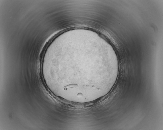 X0000112091076200909011059
