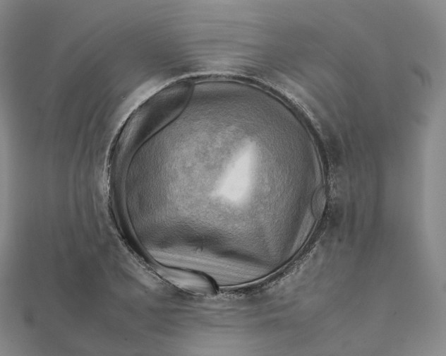 X0000112091077200909011059