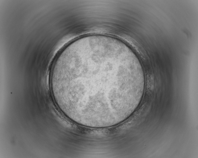 X0000112091078200909011059