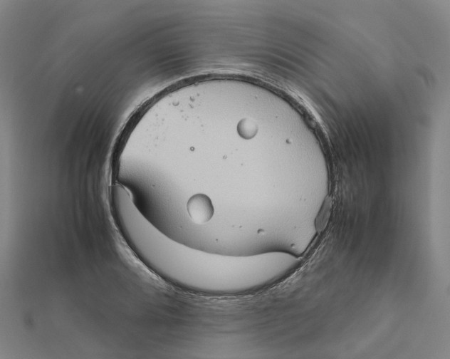 X0000112091080200909011059