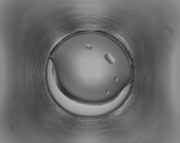 X0000112091081200909011059