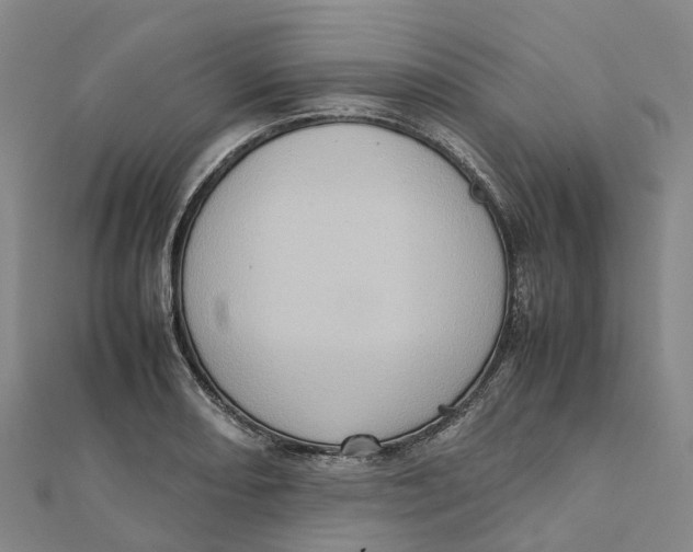 X0000112091082200909011059