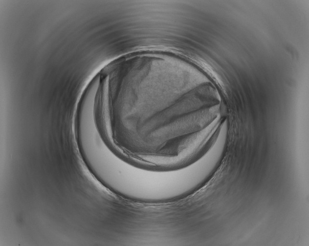 X0000112091084200909011059