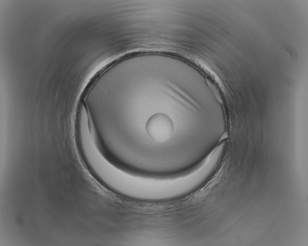 X0000112091085200909011059