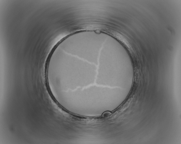 X0000112091087200909011059