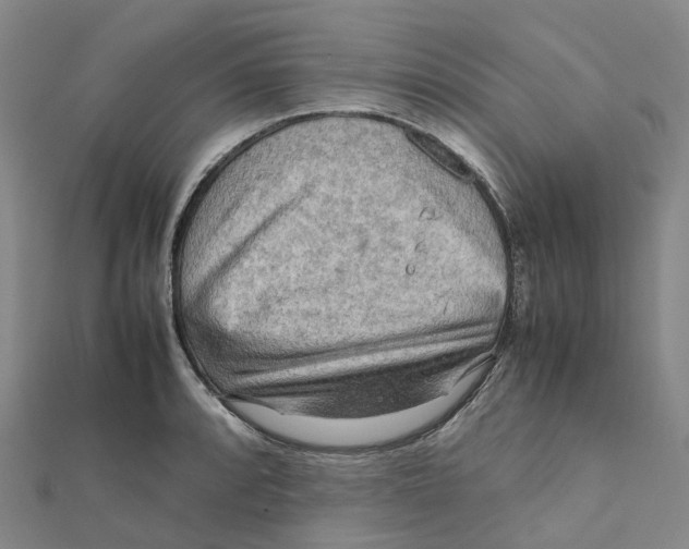 X0000112091088200909011059