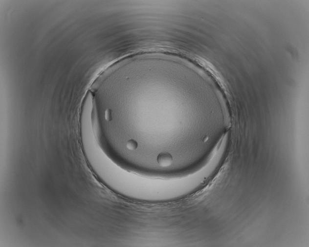 X0000112091089200909011059