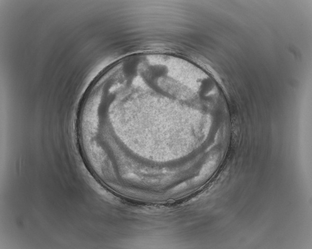 X0000112091091200909011059