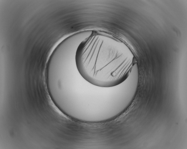 X0000112091092200909011059
