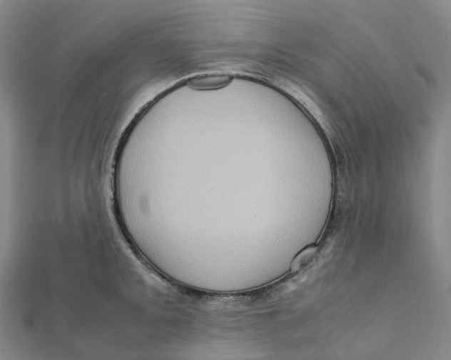 X0000112091093200909011059