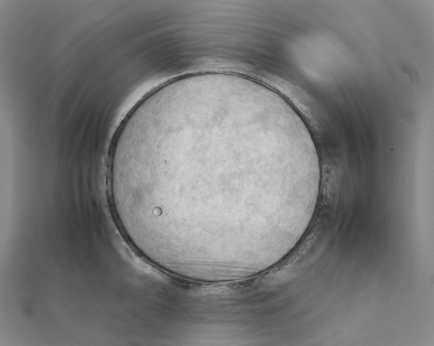 X0000112091094200909011059