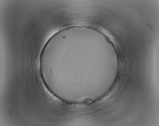 X0000112091095200909011059