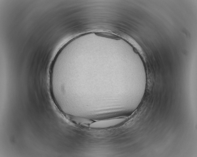 X0000112091096200909011059