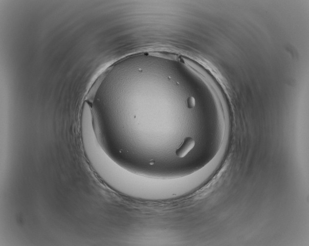 X0000112091097200909011059