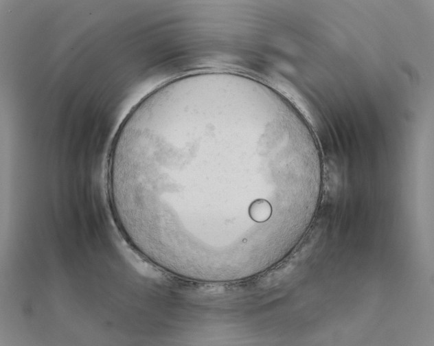X0000112091098200909011059