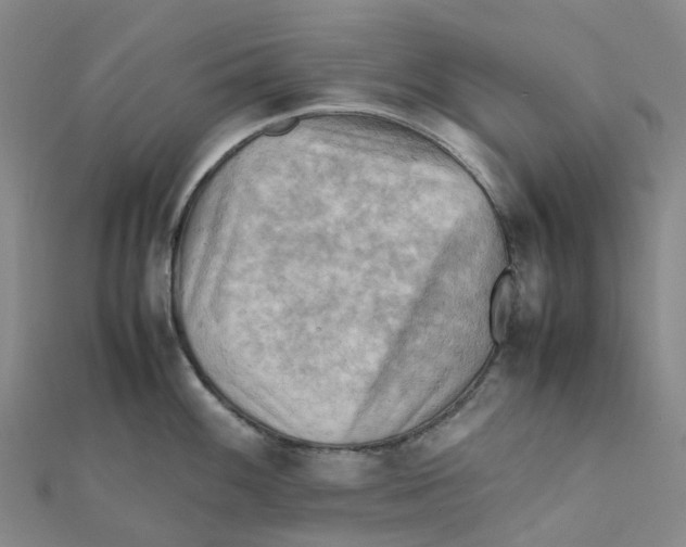 X0000112091100200909011059