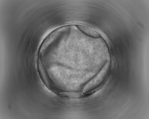 X0000112091102200909011059
