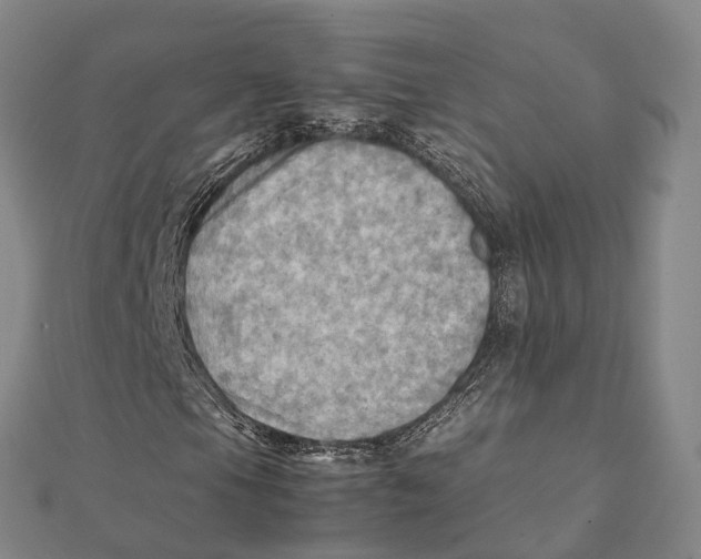 X0000112091105200909011058