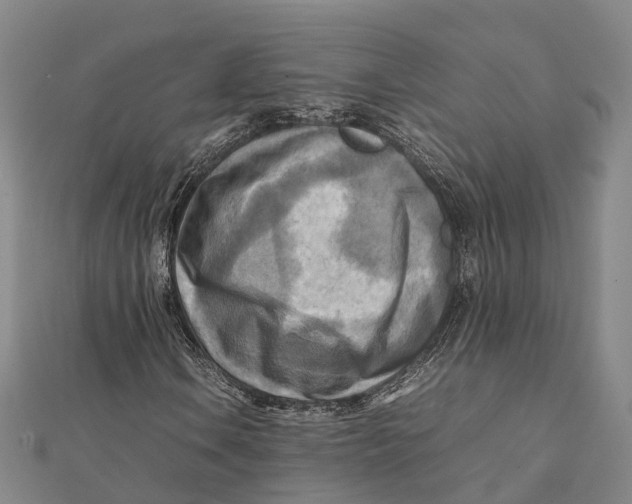X0000112091106200909011058
