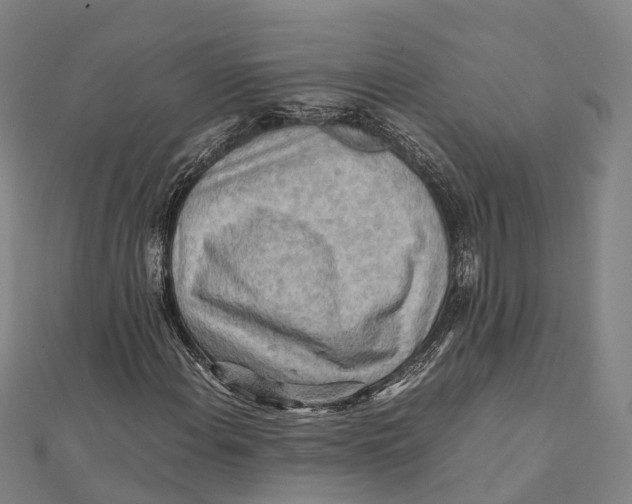 X0000112091108200909011058