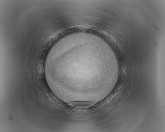 X0000112091110200909011058