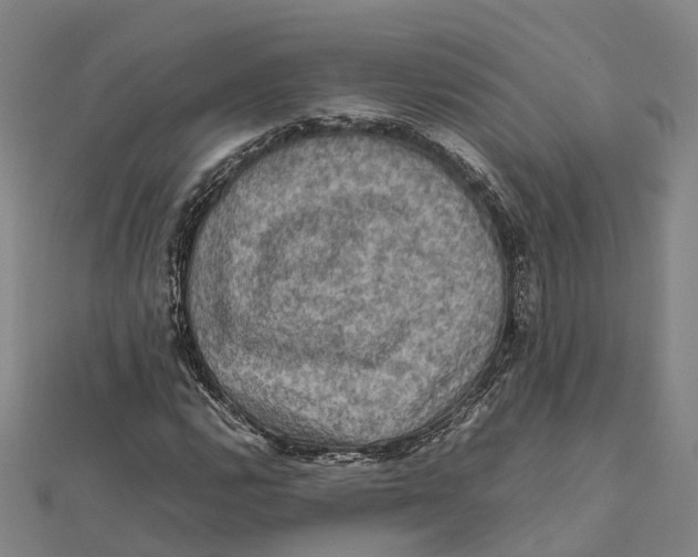X0000112091112200909011058