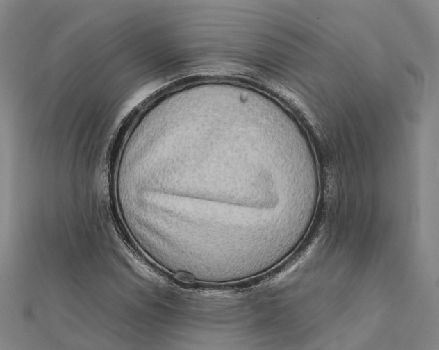 X0000112091114200909011058