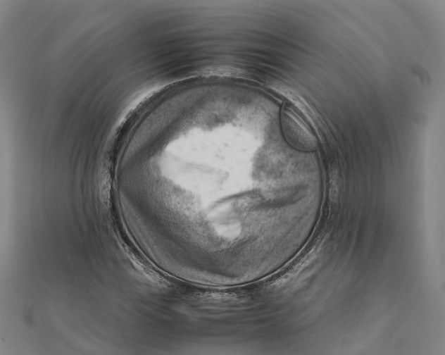 X0000112091115200909011058