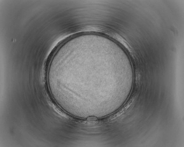 X0000112091116200909011058