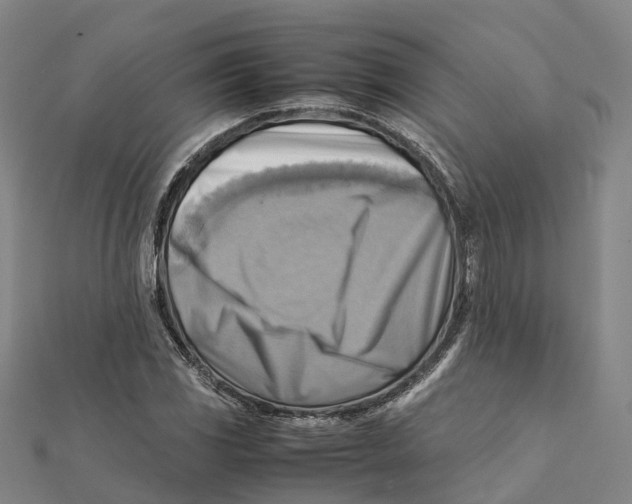 X0000112091117200909011058