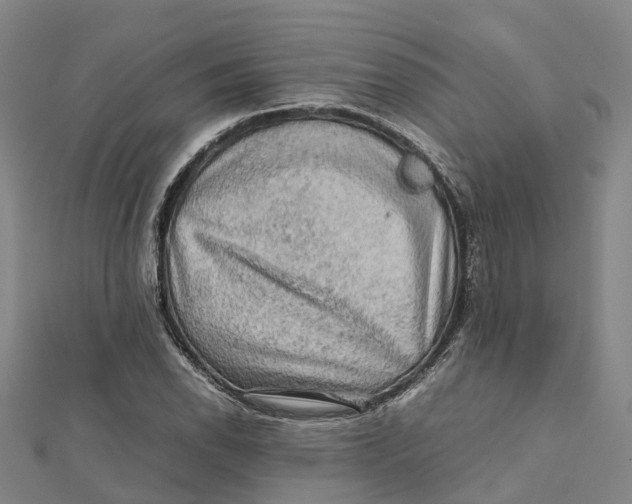 X0000112091118200909011058