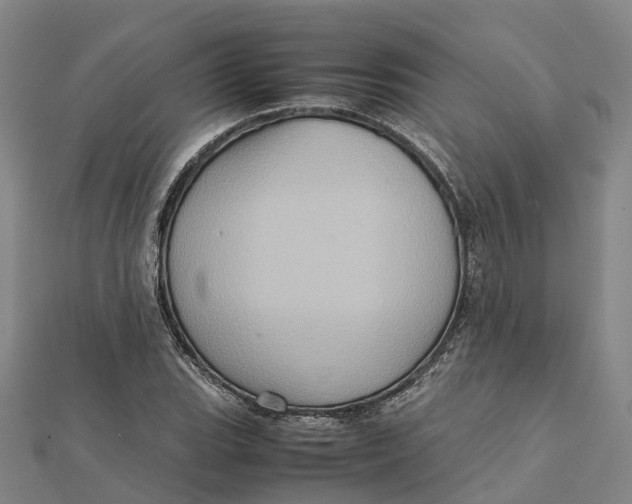X0000112091119200909011058