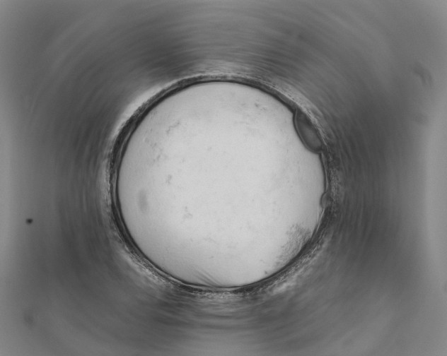 X0000112091120200909011058