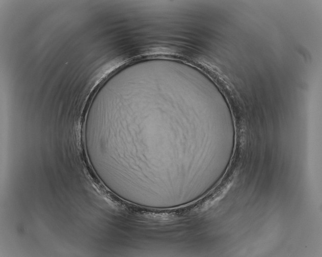 X0000112091121200909011058