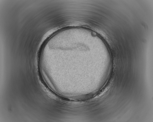 X0000112091122200909011058