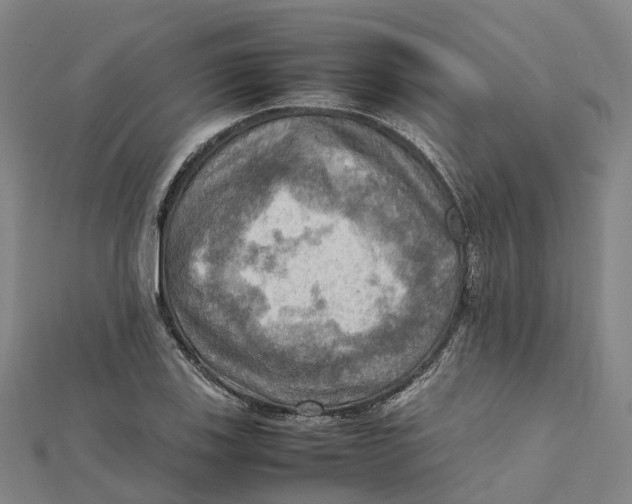 X0000112091123200909011058