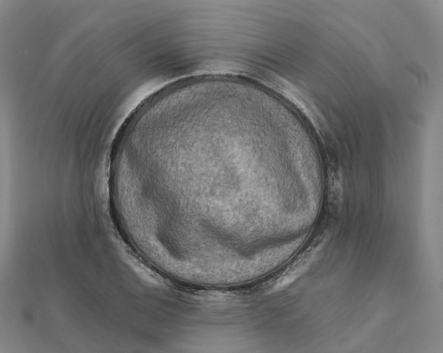 X0000112091124200909011058
