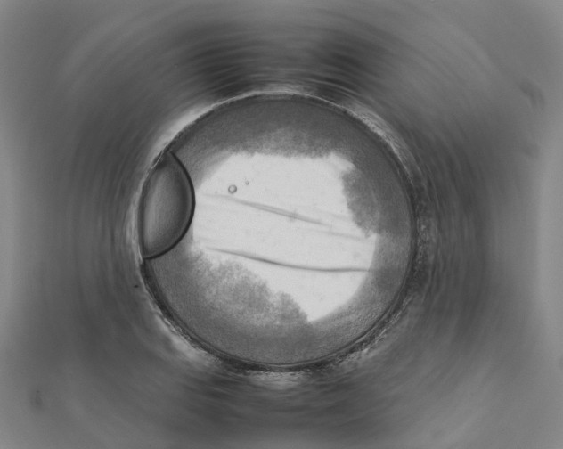 X0000112091127200909011059