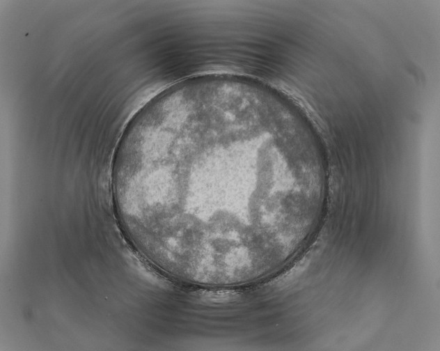 X0000112091129200909011059