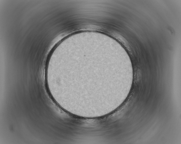 X0000112091130200909011059